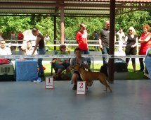 AMSTAFF