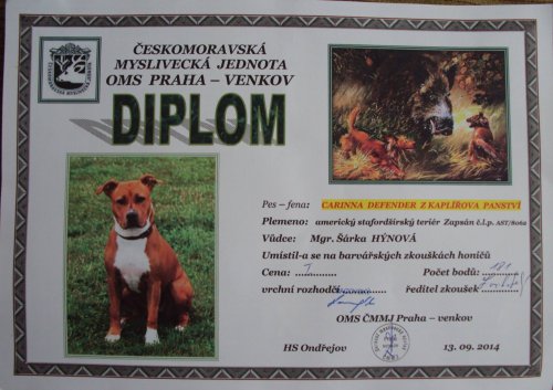 diplom