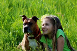 AMSTAFF