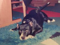 jackie
