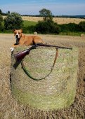 AMSTAFF