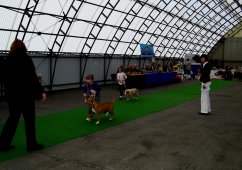 AMSTAFF